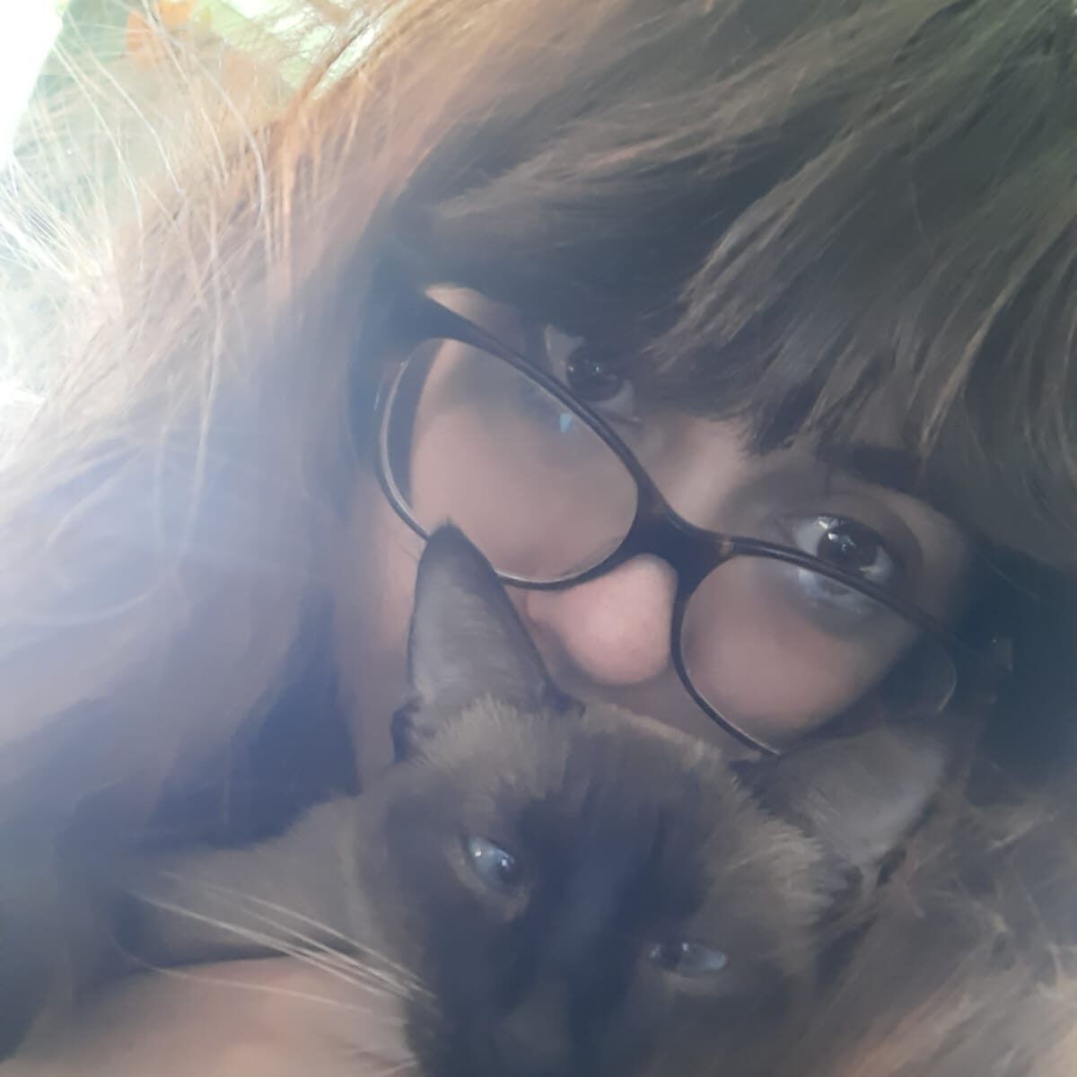 A person with long, brown hair, bangs, and black rimmed glasses hides half their face behind a black and brown cat with blue eyes.