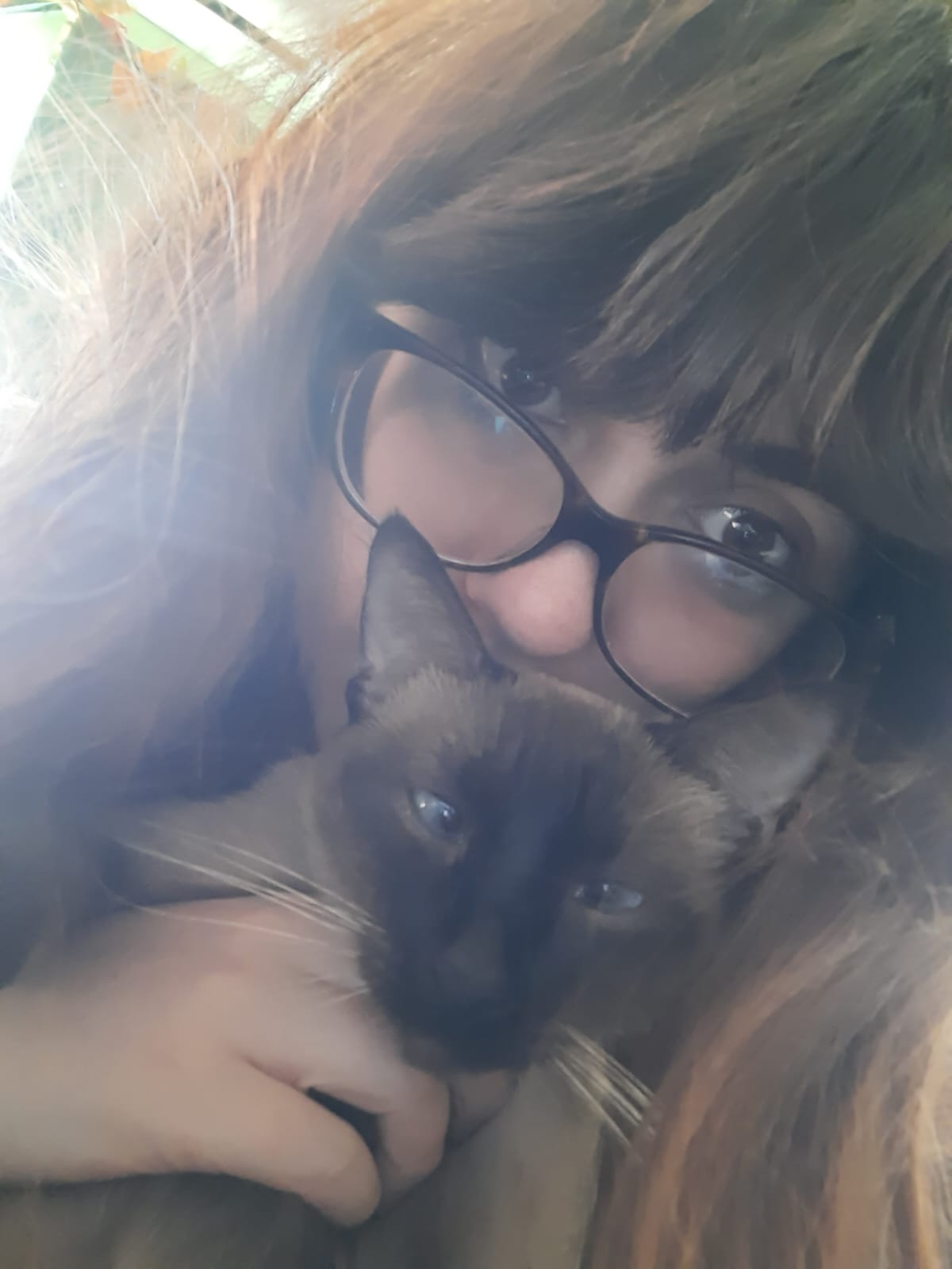 A person with long, brown hair, bangs, and black rimmed glasses hides half their face behind a black and brown cat with blue eyes.