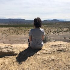 The back of a person sitting in a desert. Her hair is dark brown and short. She wears a gray T-shirt.