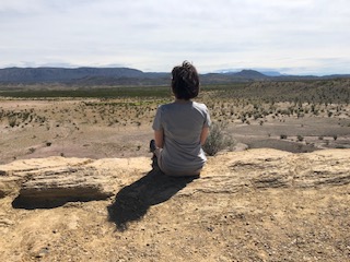 The back of a person sitting in a desert. Her hair is dark brown and short. She wears a gray T-shirt.